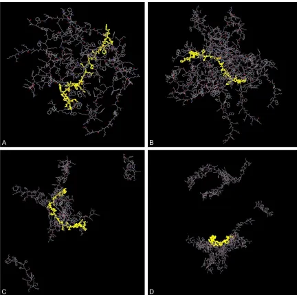 Figure 1. Molecular dynamics simulation of GLP-1 and pp1. A. Initial array of system I