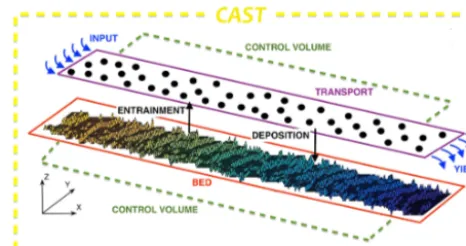 Figure 1. Diagram of the model. The space is discretized in a longi-tudinal dimension X and a transversal dimension Y