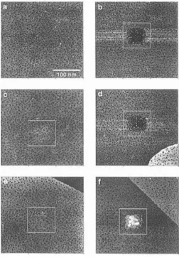 Figure 1.1.   300nm X 300nm scanned image via STM of an n-octadecyl mercaptan SAM with a centralized 50nm X 50nm patterned region fabricated under varying relative humidity from ~75% for images (a), (b), (d), and (f) and ~6% for (c) and (e)
