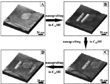 Figure 1.5.   (A) An AFM image of C10S SAM prior to fabrication. (B) Patterning of two 10 nm x 50 nm C18S lines with 20 nm spacing