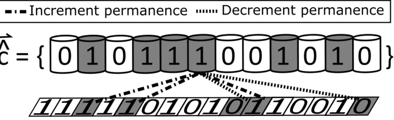Figure 4.3: SP phase 3 example, demonstrating the adaptation of the permanences. The gray columns are used denote the active columns, where those activations were determined from the SP phase 2 example.