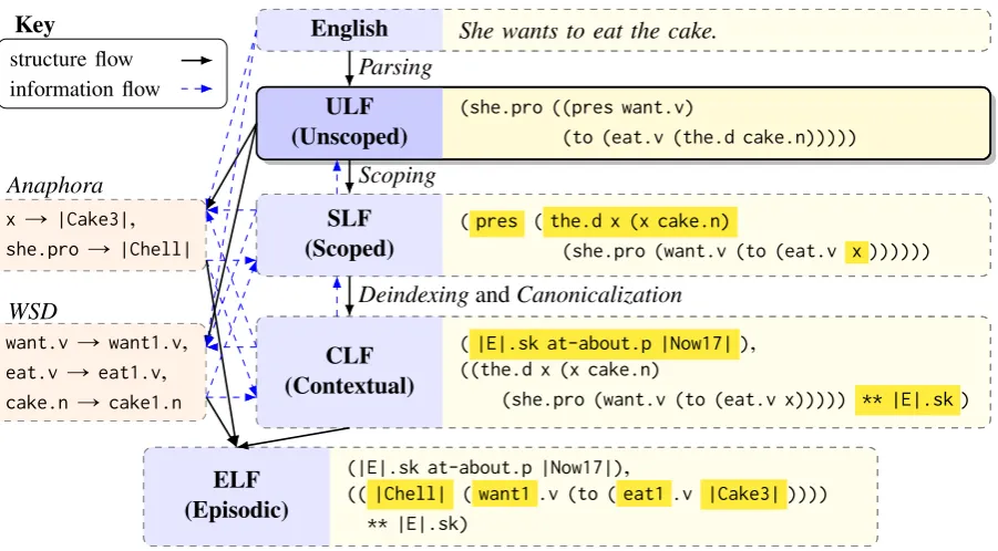 Figure 1: The semantic interpretation process, with the ULF step in the fore. Structurally dependent steps in theinterpretation process are connected by solid black arrows and structurally independent information ﬂow is repre-sented with dashed blue arrows