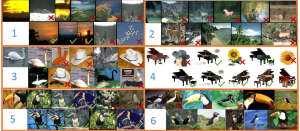Figure 7: Examples of image retrieval on Corel 800, Caltech 10 and Birds from top to bottom by GMML (first row) and EMGMML (second row)