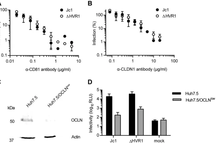 FIG 1 HCV particles lacking HVR1 are not affected in their usage of CD81, CLDN1, or OCLN