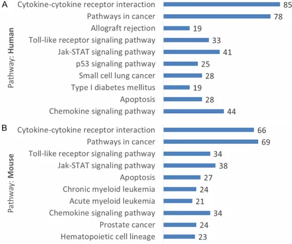 Figure 2. GO terms related to stress of the NF-κB target genes. A. NF-κB pathways were aligned from top to bottom according to their target genes with the species of human involved in the biological process of stress