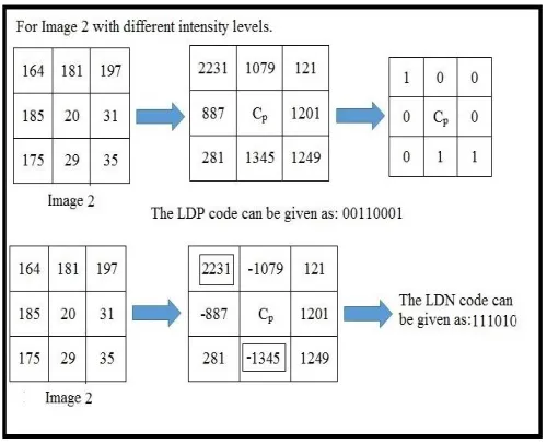 Fig. 10 – Response of  LDP and  LDN for Image 1. 