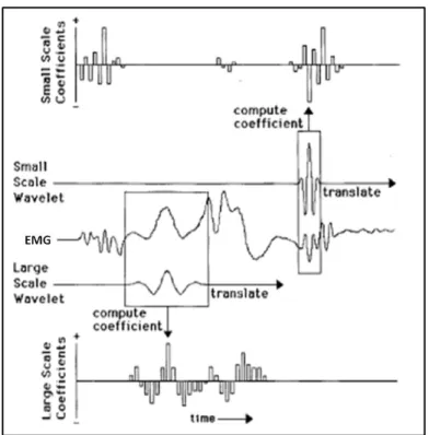 Figure 2.3: Wavelet coefficients for large- and small-scale wavelets plotted as a function of  translation in time  [77]