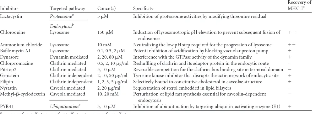 TABLE 2 Summary of inhibitors and their effects on restoration of MHC-I in infected cells