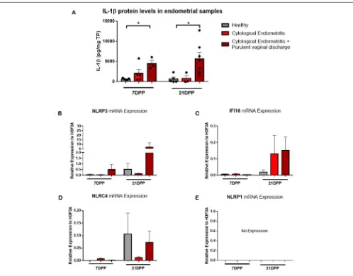 FIGURE 1 | =SEM relative to the reference geneinﬂammasome receptor expression were quantiﬁed via qPCR on mRNA extracted and reverse transcribed to cDNA