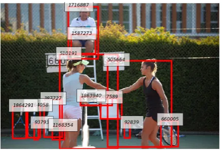 Figure 2: A Segmented Image from COCO
