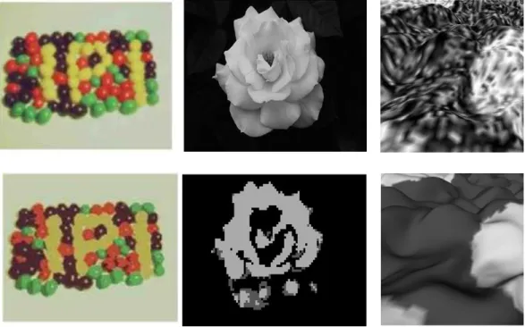 Figure 2.1 Segmentation process for the (a) color, (b) gray intensity and (c) texture  images
