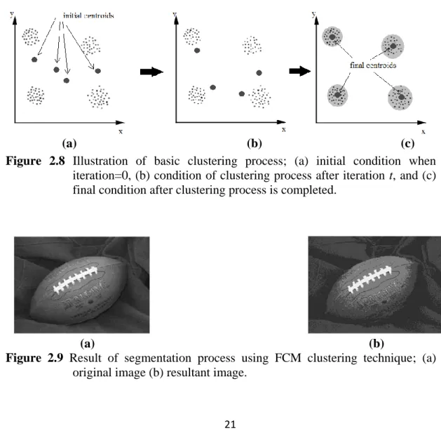 Figure  2.9  Result  of  segmentation  process  using  FCM  clustering  technique;  (a)  original image (b) resultant image