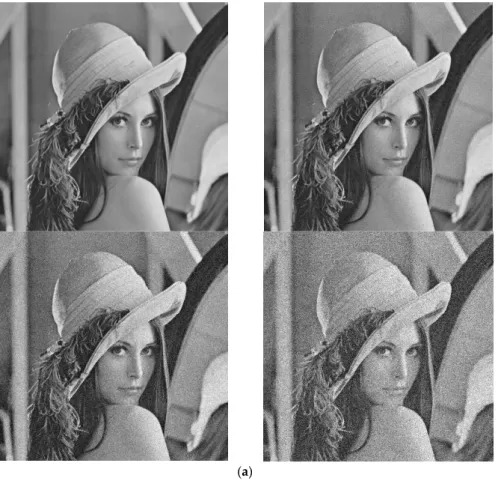 Figure 6 shows the segmentation results on the “Lena” image. The results in the fourth columns are better than in the second and third columns