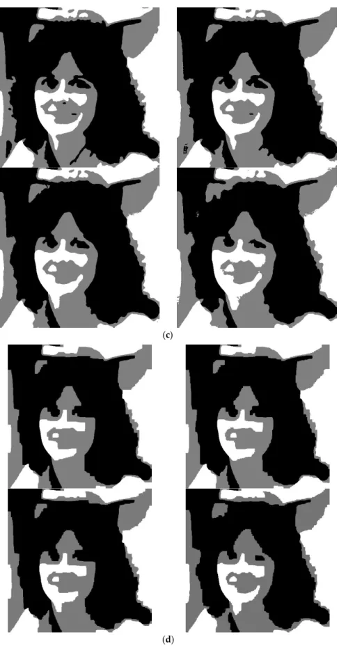 Figure 8. Comparison results on “Woman” image: (a) “Woman” image with different Gaussian noise  level: variance: 0, 10, 20, 30; (b) Segmentation results of NSC; (c) Segmentation results of GC;  