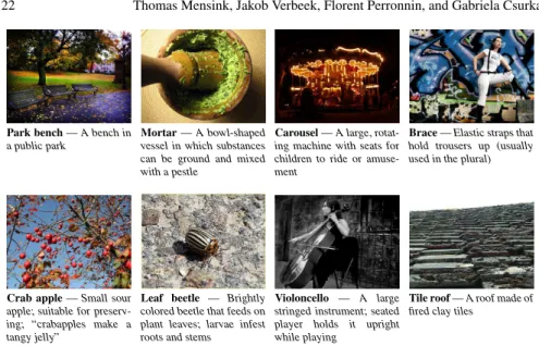 Fig. 6: Example images from the ILSVRC’10 data set, with their class names and descriptions