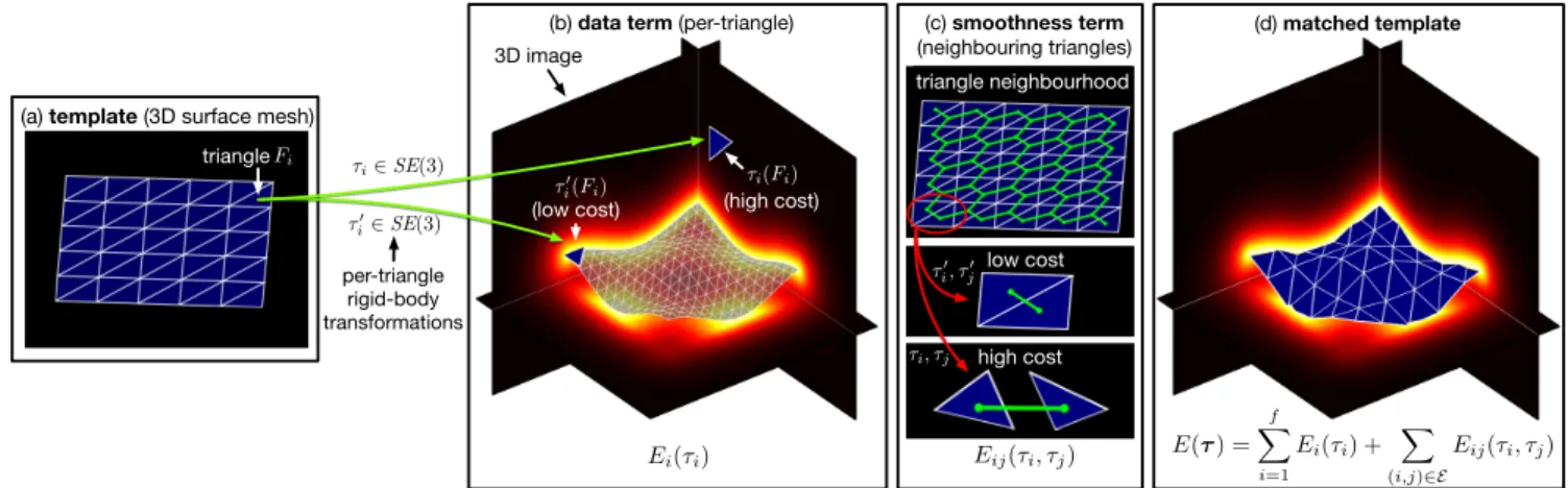 Figure 1. 3D Shape-to-Image Matching. (a) Given a shape as a triangular mesh, we associate to each triangle F i its rigid transformation τ i ∈ SE(3) such that the sum of data and smoothness terms is minimised