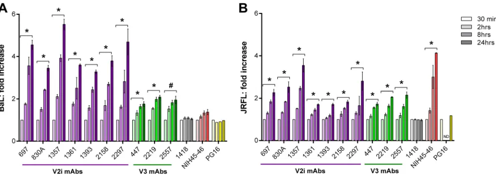 FIG 4 Time-dependent increase of Env spike binding by V2i and V3 MAbs. Relative levels of MAb binding to BaL (A) or JRFL (B) Env spikes on transfected 293Ton the one-tailtimes from 30 min to 24 h