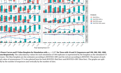 Figure 4.6 Power Curves and P-Value Boxplots for Simulation with ωvalue increases. The blue boxplots are the estimates according to BUSTED3 = 2.077 for Trees with 16 and 31 Sequences and 100, 300, 500, 1000,5000 Codons Respectively