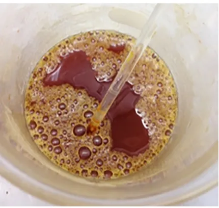 Fig. 2. Fat residue remaining after nitric acid digestion of green turtle chyme during a preliminary test of the protocol.