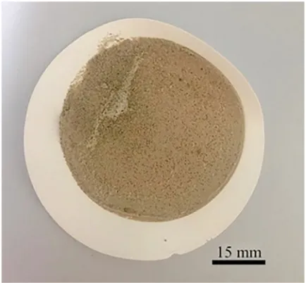 Fig. 3. Sediments present after acid digestion of turtle chyme during a preliminary test of the protocol.