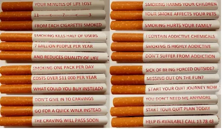 Figure 1.5 The final cigarette-stick warnings and messages used in Chapter 9.  