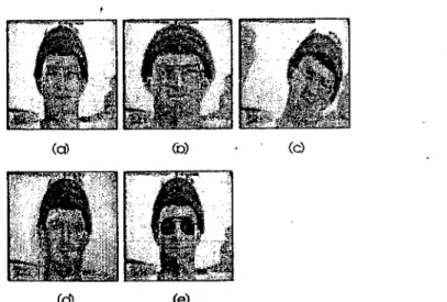 Figure 2.2: (a) Original face image. (b) Scale variance. (c) Orientation variance. 
