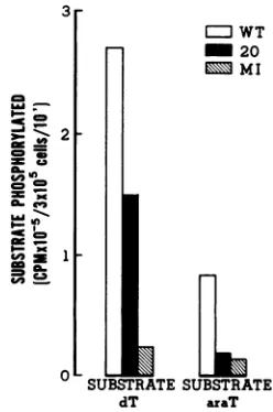 FIG. (min)virus37°CExtractslatedml,withdrawn 4. Kinetics of phosphorylation of [14C]dT