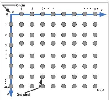 Figure 3-1   Representation of the Digital Image 