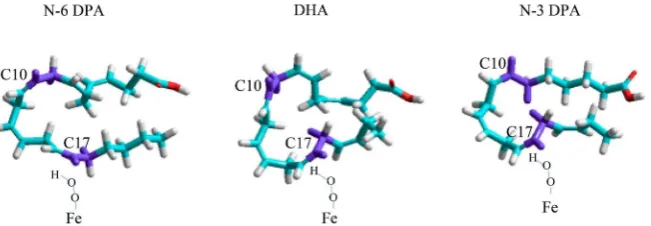 Figure 5. Comparison of energy minimized 3D structures for n-3DPA, n-6DPA and DHA the three lipids (see purple area)
