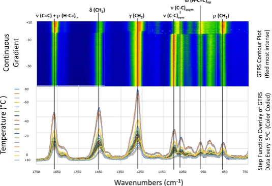 Figure 1. Composite overlay line spectra for ALA detailing how stacked spectra are transformed to generate contour plots