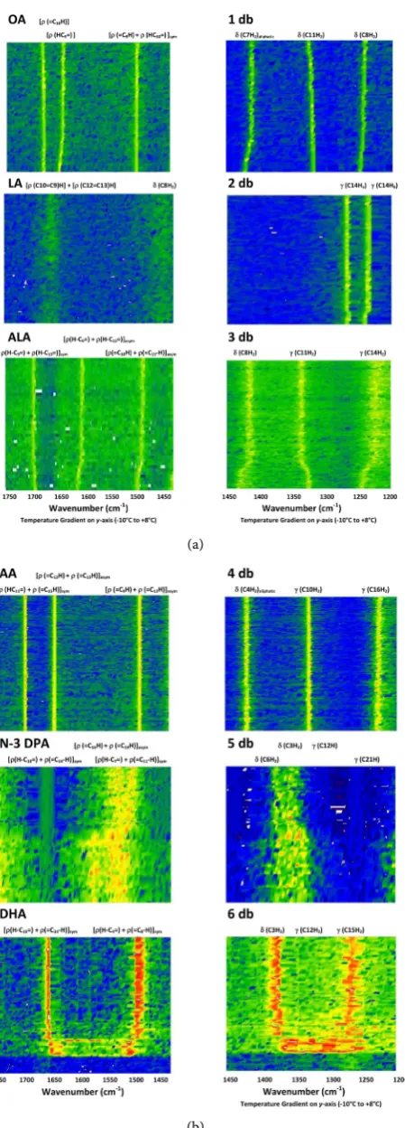 Figure 2. Details of the second derivative data contour plots for the six fatty acids from 1750 to 1425 cm−1