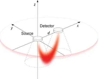 Figure 1. Geometry for Monte Carlo model in a reflectance pulse oximetry set-up, presented in Cartesian co-ordinates (x,y,z)