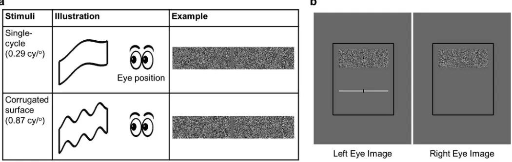 Figure 1. Methods. (a) Specification of the stimuli. (b) Display configuration. The left- and right-eye images were presentedsimultaneously on the screen and viewed through the stereoscope