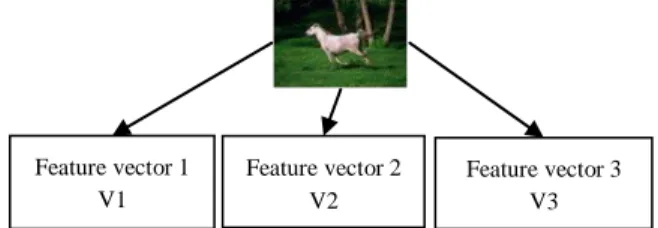Figure  2. Illustration of the feature extraction for  one image. 