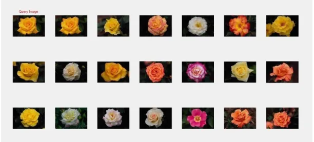 Fig. 8. Searching result with flower as a query image 
