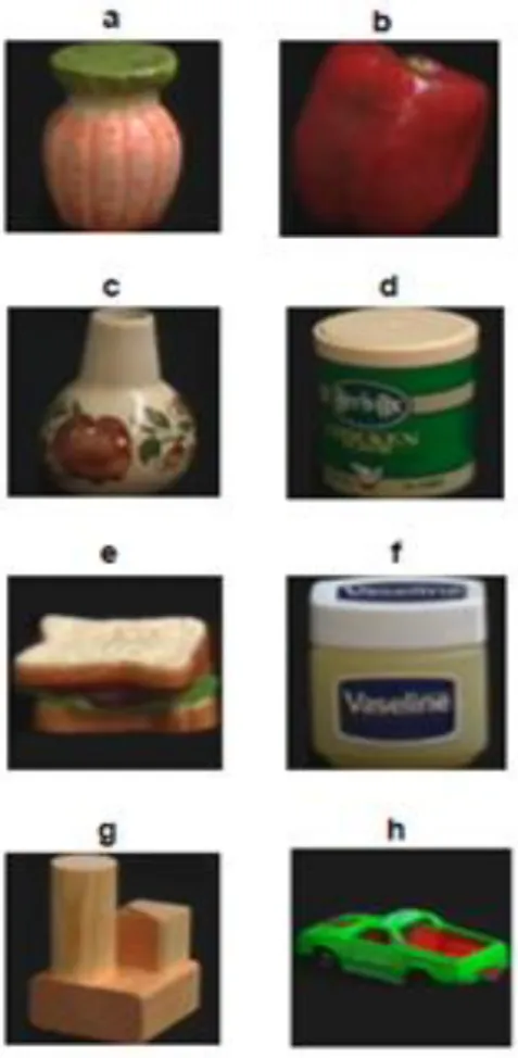 Figure 3. List of query images 