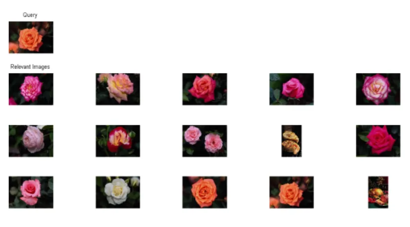 Figure 4.4: flower(s) retrieval