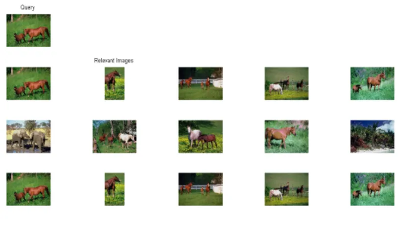 Figure 4.9: Horse(s) retrieval