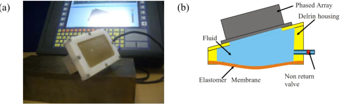 Figure 2-10 1 st  generation membrane coupled phased array device a. photograph and b