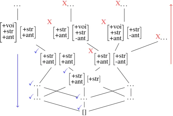 Figure 4: Structure ideals(blue) and ﬁlters(red) for a phonological precedence model.
