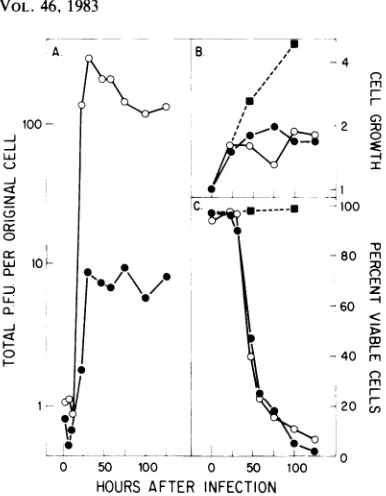 TABLE 2. Plaque titers of virus stocks on differentindicator cell lines"