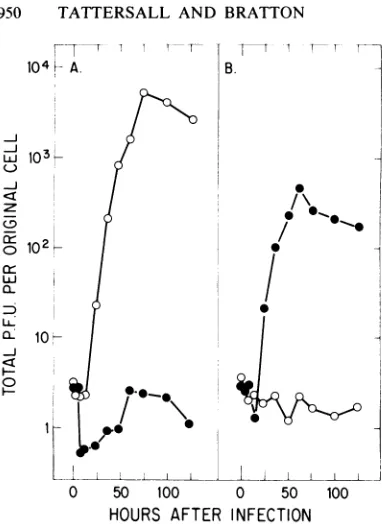 FIG. 5.tion. Kinetics of virus production during infec- Replicate cultures of (A) A9 ouabrl1 and (B) S49