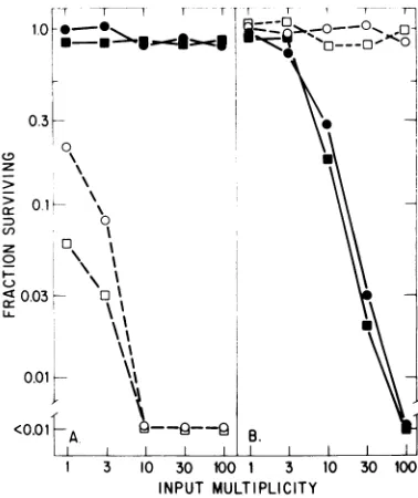 FIG. 7.(O),tion.titerforonReplicatepervolume(B)controlsdeterminedterminedtrypanrepresentremainder.MVM(i) Cell killing as function of input multiplicity