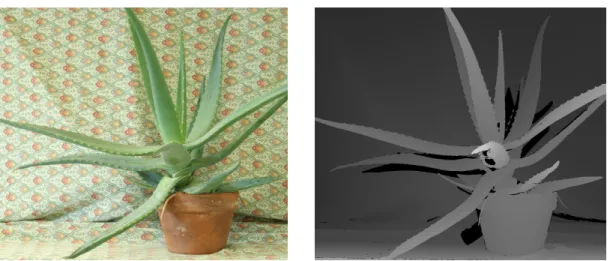 Figure 2.5: Color and corresponding dense disparity image from Scharstein et al. [16].