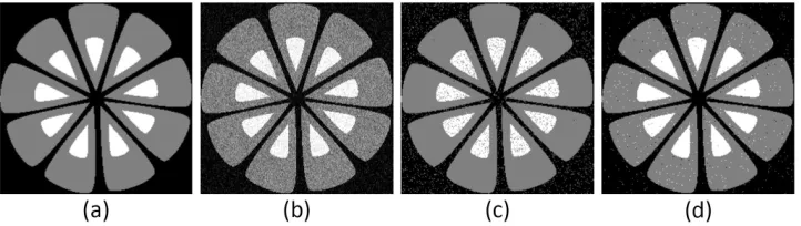Figure 3.2: Synthetic image, (a): original image, (b): Corrupted original imagewith Gaussian noise (0 mean, 0.01 variance), (c): standard GMM (time =5.5s), (d): SVFMM [72] (time = 246.1s).