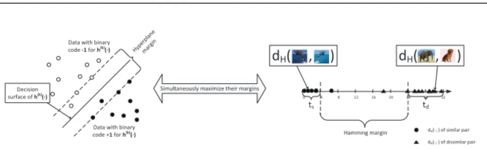 Fig. 1 Hamming margin and hyperplane margin. They are the optimization targets in our method.