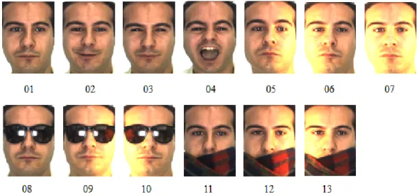 Figure 2.3: The 13 images of an individual from the first session of the AR database.