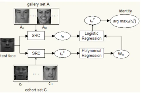 Figure 3.4: The framework of undersampled face recognition with sparse repre- repre-sentation and cohort normalization.