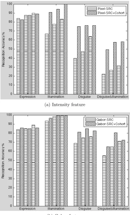 Figure 3.8: The accuracy of test samples with different variations on the AR database