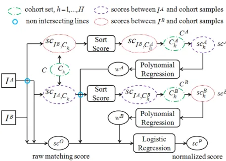 Figure 3.11: The framework of picture-specific cohort score normalization for face pair matching.
